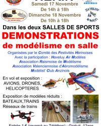 Meeting indoor Hérin 17 et 18 novembre 2018